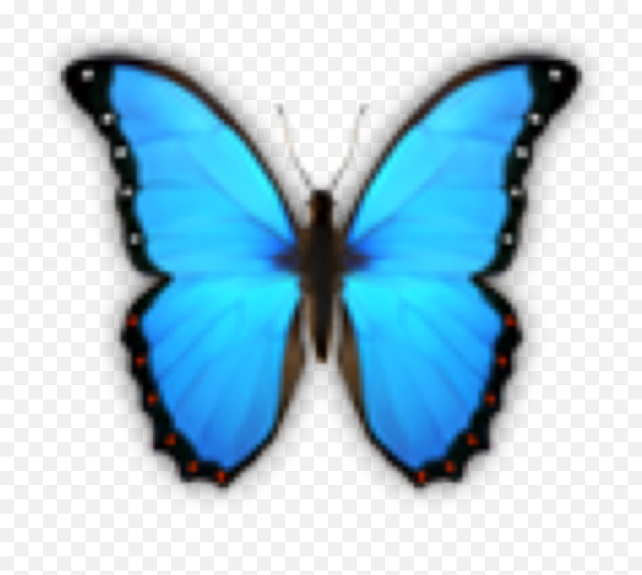 Butterfly Butterflies Emoji Sticker By Sakura Cher Png Emojis Transparent