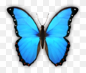 Butterfly Butterflies Emoji Sticker By Sakura Cher Png Emojis Transparent