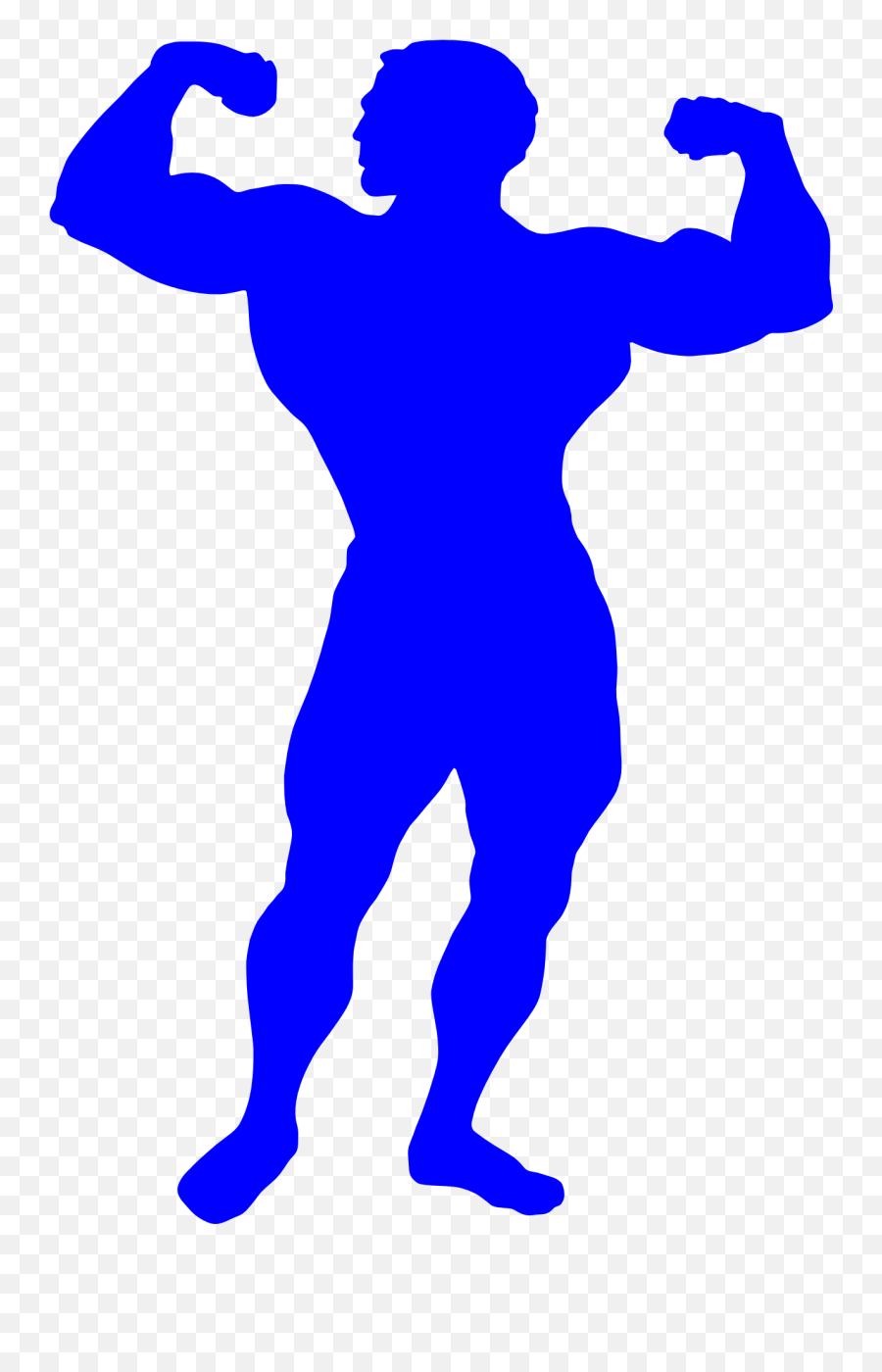 Bodybuilder Man Drawing Free Image - Muscle Facts For Kids Png,Bodybuilder Png