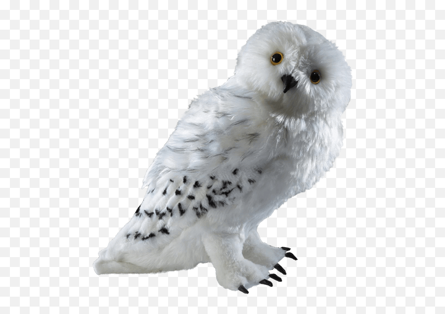 Harry Potter Hedwig Collector Plush Png - Harry Potter Owl Png,Hedwig Png