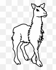 Clipart Llama Lineart - Llama Png Black And White,Llama Transparent