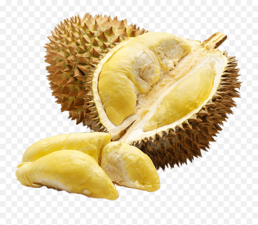 Inside Of Durian Transparent Png - Fruit Durian,Durian Png