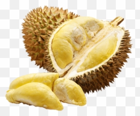 Inside Of Durian Transparent Png - Fruit Durian,Durian Png