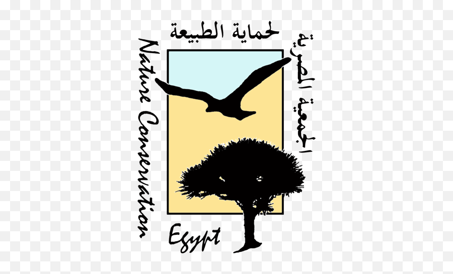 Who We Are U2013 Nature Conservation Egypt - Language Png,The Nature Conservancy Logo