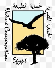 Who We Are U2013 Nature Conservation Egypt - Language png