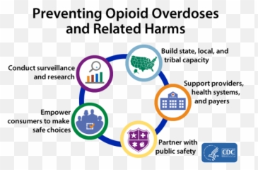 Addressing Opioid Use Disorder To Improve Maternal And - Language png