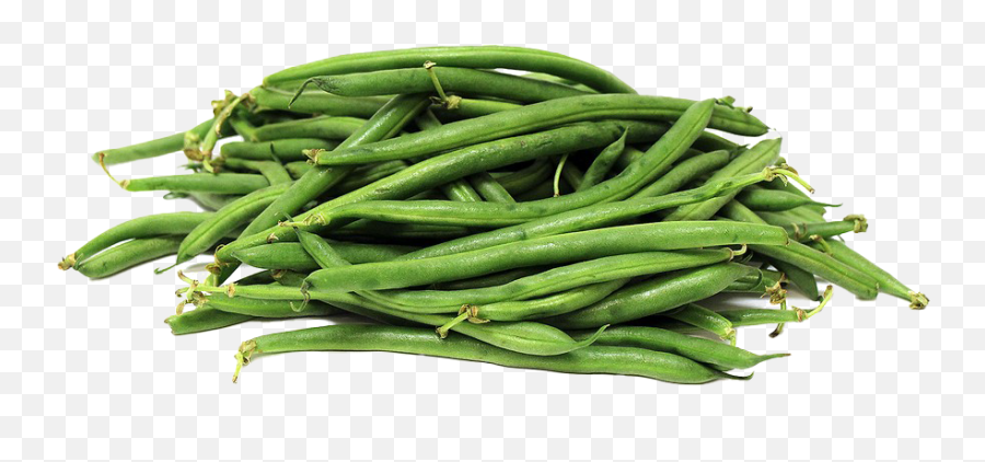Green Beans Png Image - Vigna Unguiculata Sesquipedalis,Green Beans Png