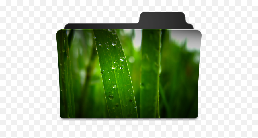 Grass Ii Icon - Goodies Folder Icons Softiconscom Wallpaper Png,Wallpaper Folder Icon