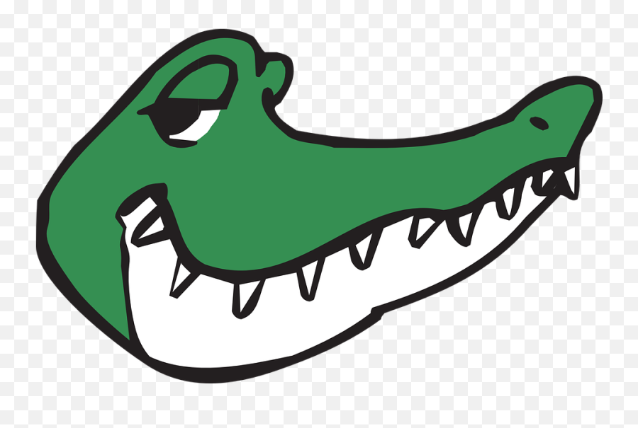 Alligator Head Smile - Free Vector Graphic On Pixabay Cartoon Alligator Head Png,Gator Png