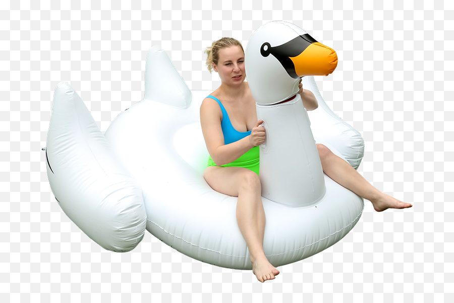 Calling All Weirdos The Decapitated Swan Pool Float Now Exists - Inflatable Png,Pool Float Png