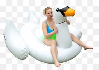 Calling All Weirdos The Decapitated Swan Pool Float Now Exists - Inflatable Png,Pool Float Png