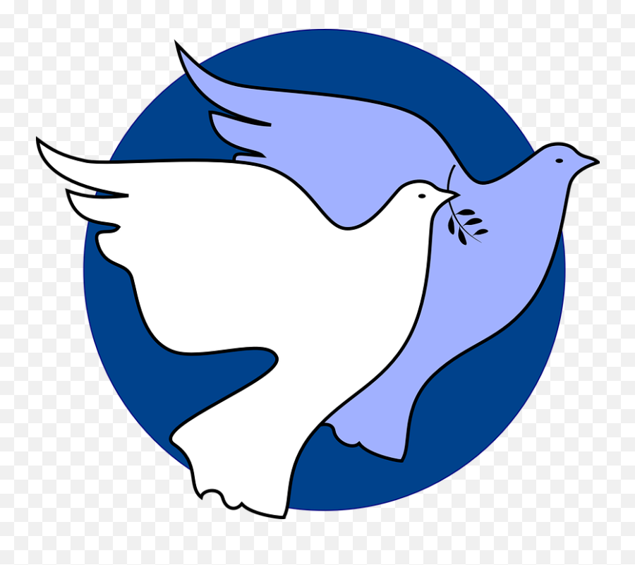 Dove Peace Unity - Free Vector Graphic On Pixabay Peace Is In Our Hands Png,Unity Png