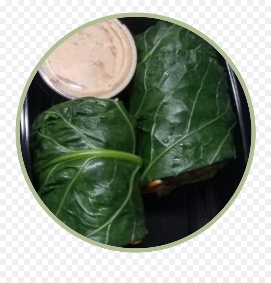 Garden Burrito U2014 The Green Being - Walrus Png,Burrito Png