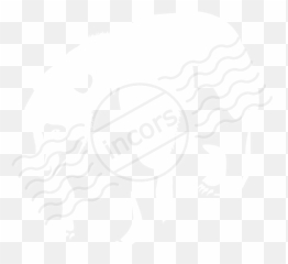 Iconexperience M - Collection Bear Icon Canine Tooth Png,Black Bear Icon