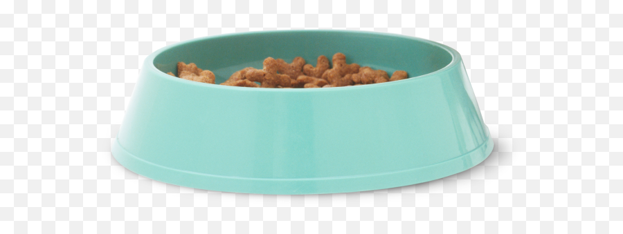 Transparent Bowl Cat Png - Bowl,Dog Bowl Png