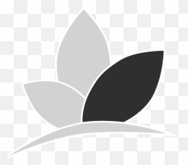 Cosmetic Treatments U2013 Swann Dermatology Png