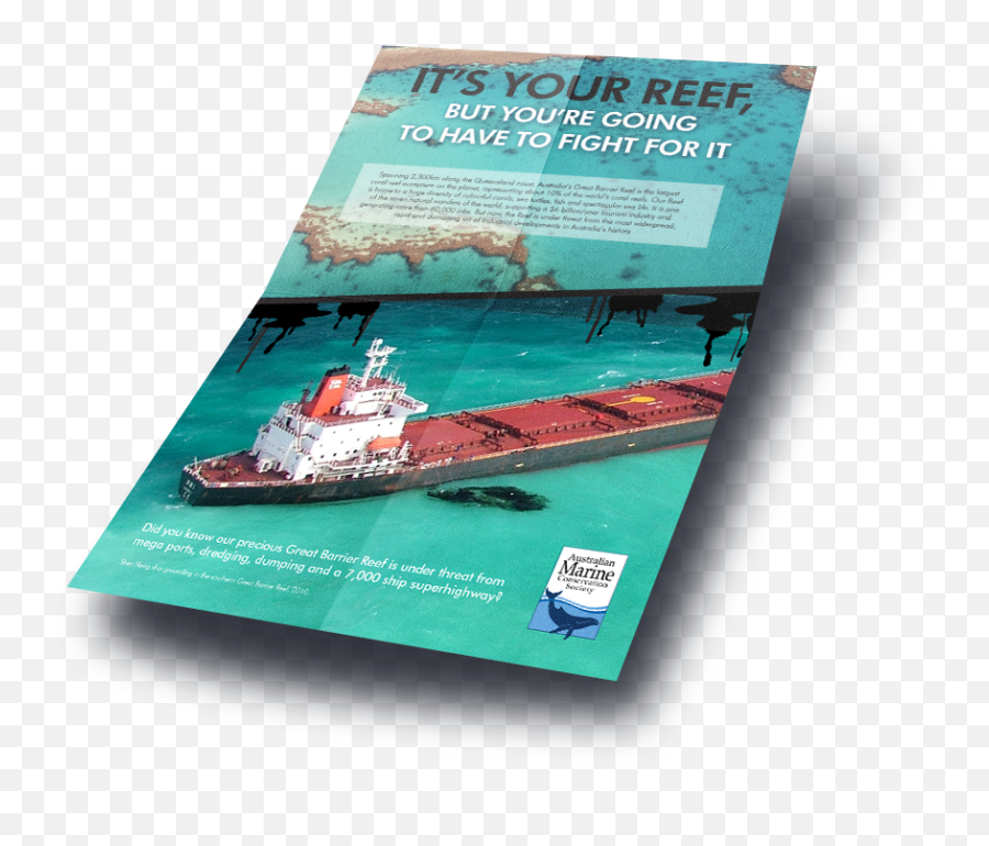 Amcs - Guide U2014 Catfish Creative Great Barrier Reef Oil Spill Png,Catfish Png