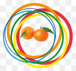 Leaf Clementine - Rangpur Png,Clementine Png