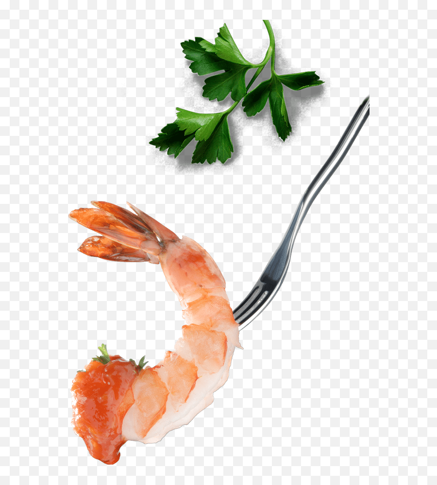 Download Hd Wild Shrimp - Shrimps Png Transparent Png Image Caridean Shrimp,Shrimp Png