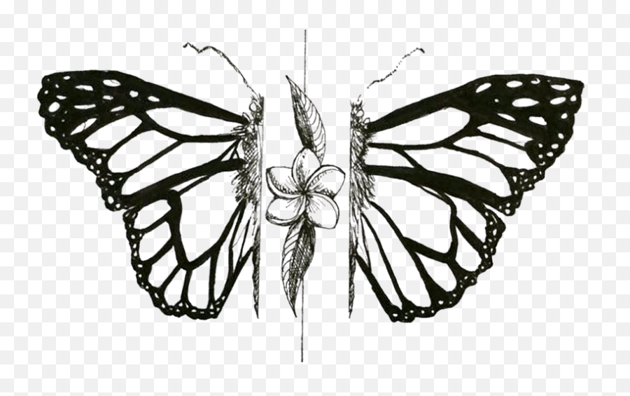 Illustration Portfolio U2014 Mary Kershisnik - Monarch Butterfly Png,Mariposa Png