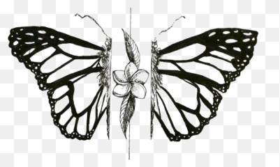 Illustration Portfolio U2014 Mary Kershisnik - Monarch Butterfly Png,Mariposa Png