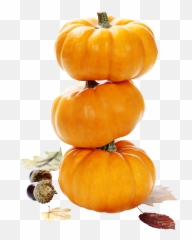 Pumpkin Png