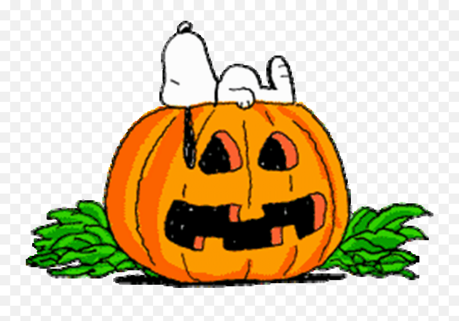 Library Of Free Animated Halloween Banner Freeuse Png Files - Charlie Brown Jack O Lantern,Halloween Gif Transparent