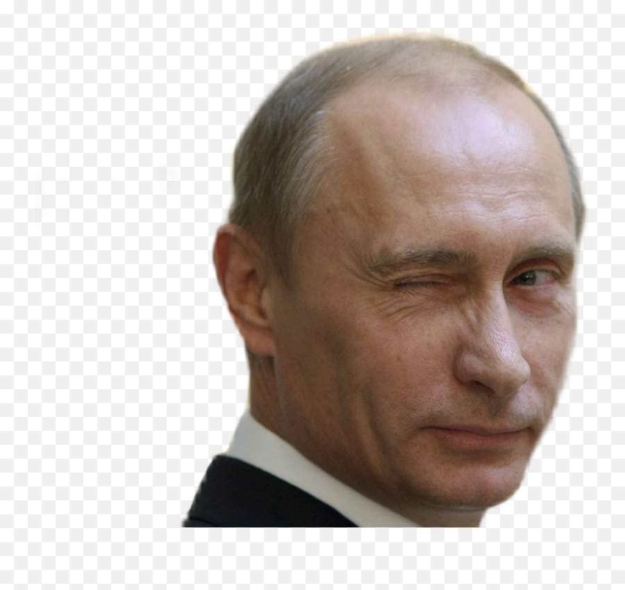 Putin Russia - Putin Stickers Png,Putin Face Png