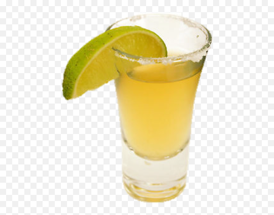 Somewhere Around The Seventh Shot Of - Shot Glass With Tequila Png,Tequila Shot Png