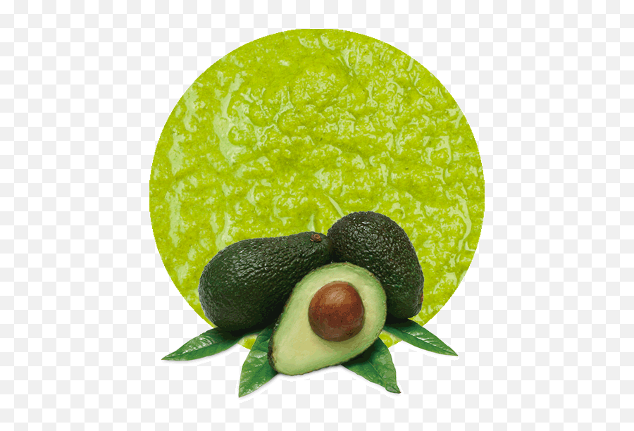 As An Avocado Puree Supplier Is The Perfect Place - Avocado Hd Png,Avocado Transparent