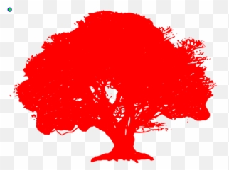 Download Big Old Tree Silhouette - Full Size PNG Image PNGkit Transparent Oak