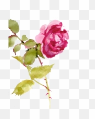 Jaehos Tumblr Com Post Texture Pack - Watercolor Painting png