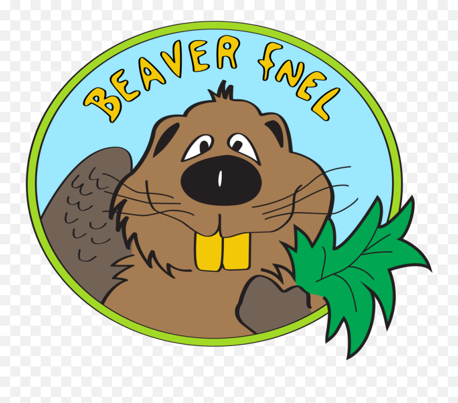 Beaver Fnel - Clip Art Png,Beaver Png