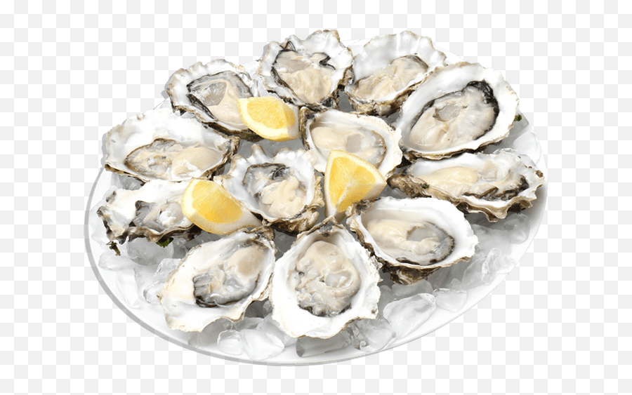 Download Free Png Oysters - Oysters Png,Oysters Png