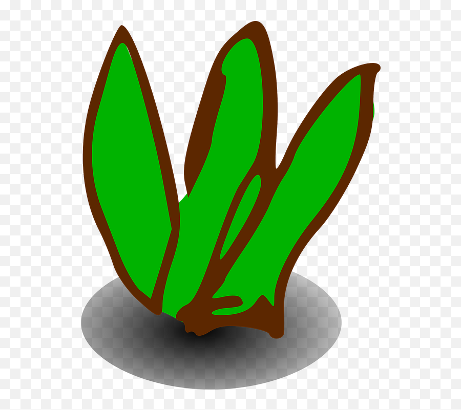 Shrub Bushes Clipart Green Plant - Png Clip Art,Bush Transparent
