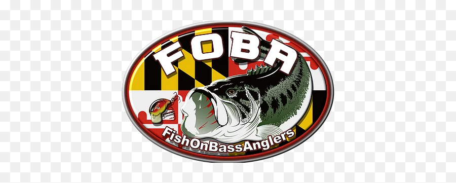 Fish - Fish Products Png,Bass Fish Logo