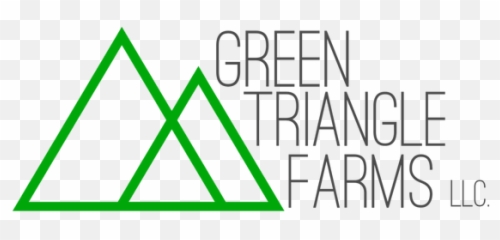 Home Mysite - Triangle Png,Green Triangle Png