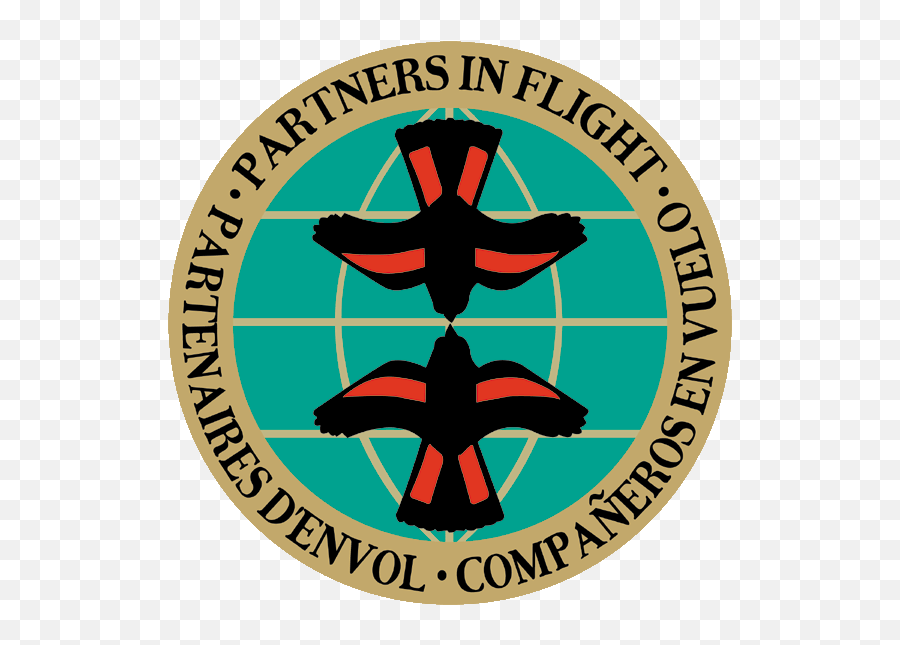 The Next Big Idea - Partners In Flight Png,Big Idea Logo