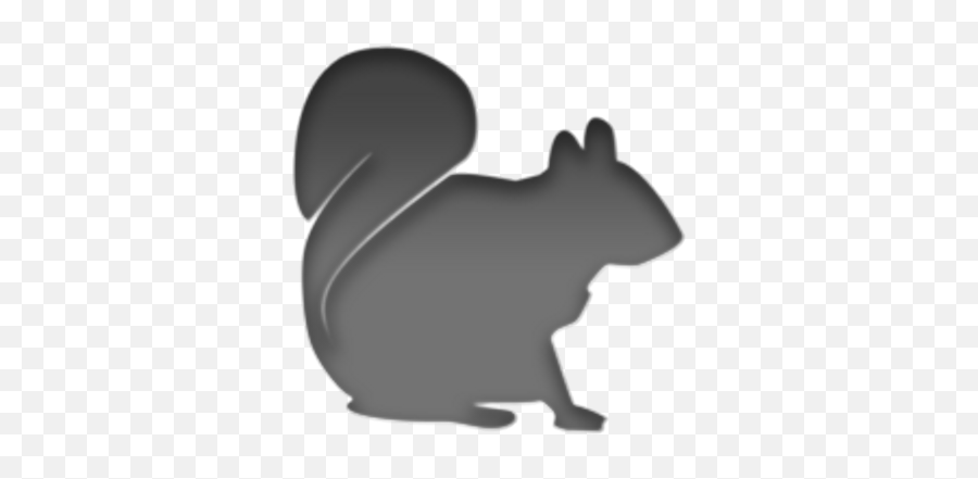 Sqrl For Iphone - Fox Squirrel Png,Sqrl Logo