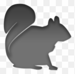 Sqrl For Iphone - Fox Squirrel Png,Sqrl Logo