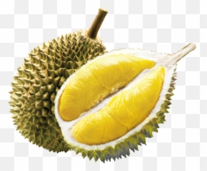 Home - Durian Png,Durian Png