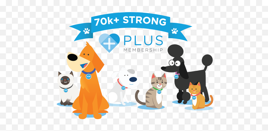 Thrive Plus Membership Plans For Your Cat U0026 Dog Png Platinum Cats Vs Dogs Icon