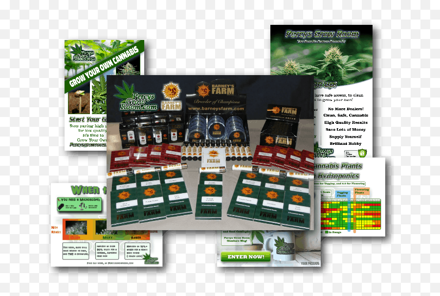 Percys Grow Room A Cannabis Growers Forum And Website - Flyer Png,Marijuana Plant Png