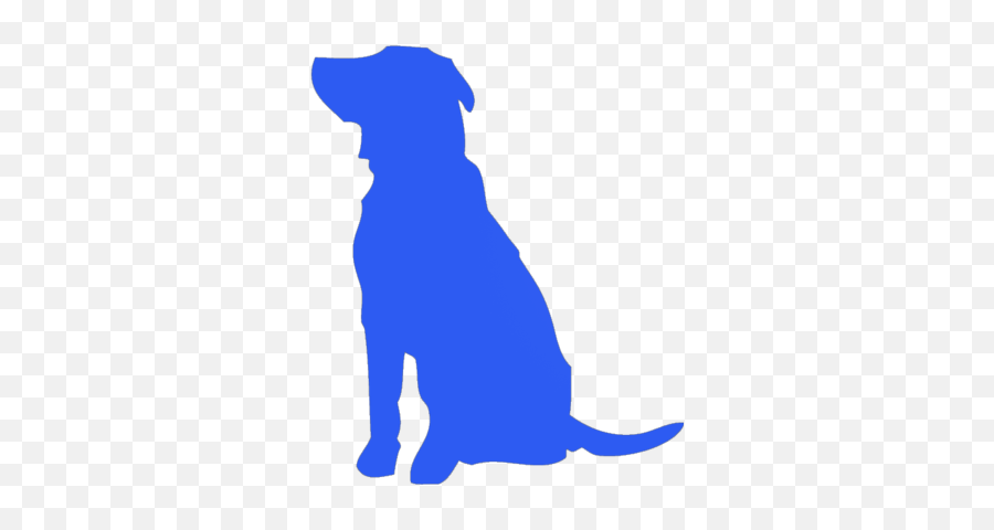 Tv Commercial Video Production Daytona - Animated Blue Dog Png,Tv Commercial Icon