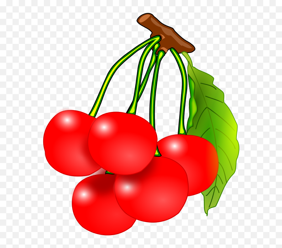Fruits Clipart Png Station - Cherry Clipart,Fruit Clipart Png