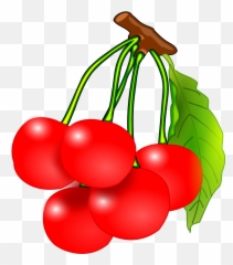 Fruits Clipart Png Station - Cherry Clipart,Fruit Clipart Png