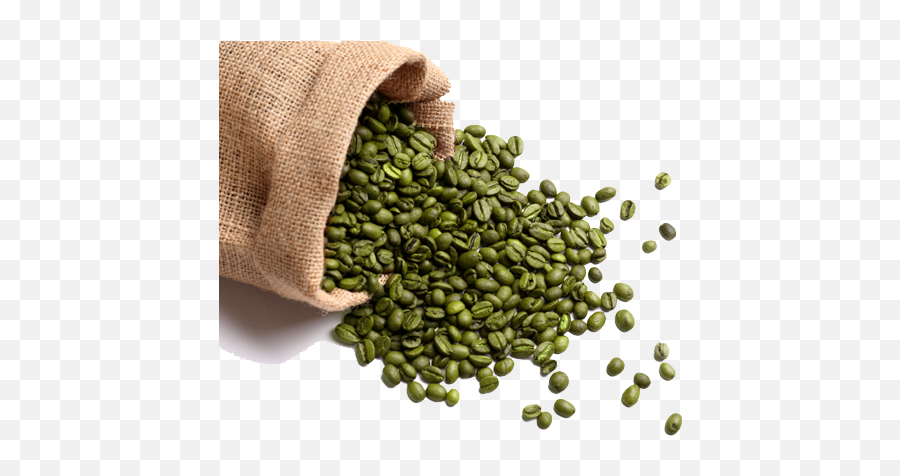 Green Coffee Bean Png 3 Image - Coffee Bean Different Kinds Of Beans,Green Beans Png
