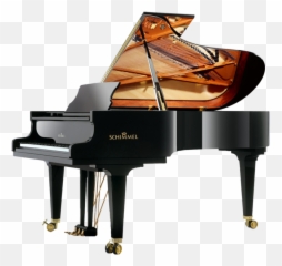 Piano Care U2014 Chiu - Schimmel Grand png