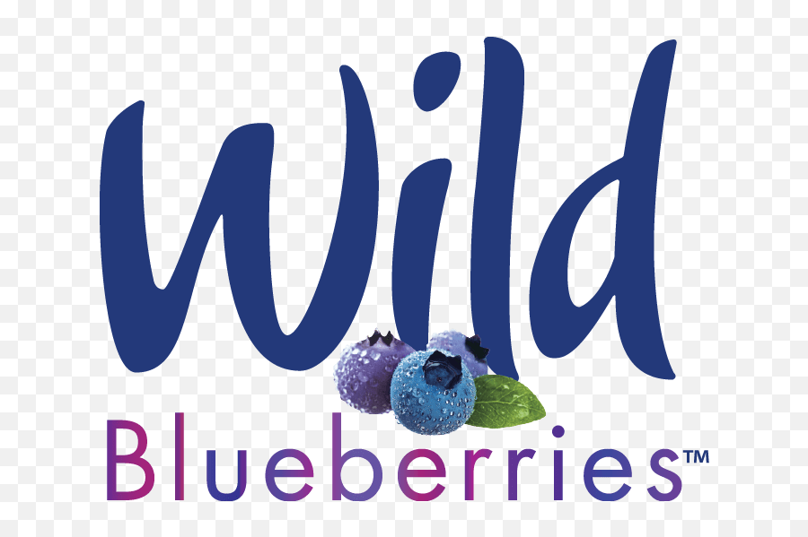 Wild Blueberry Festival - Help Weu0027ve Got Kids Wild Blueberries Logo Png,Kids Wb Logo