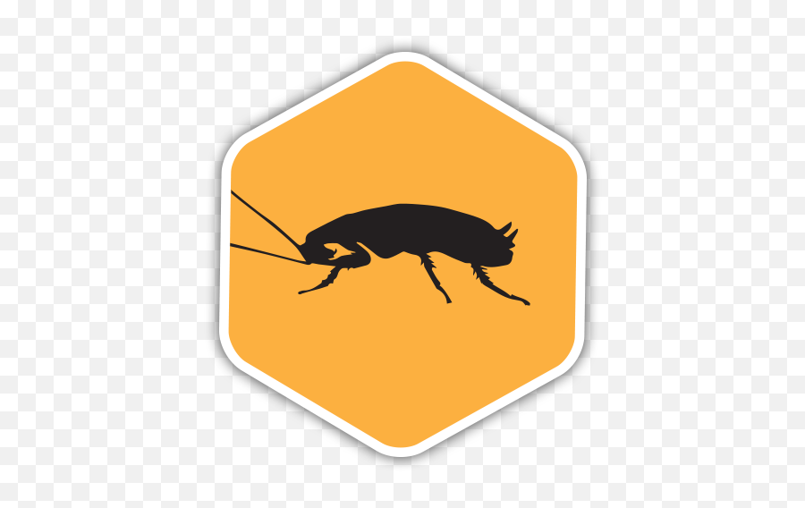 Preferred Pest Control Sa U2013 San Antoniou0027s - Parasitism Png,Antd Icon